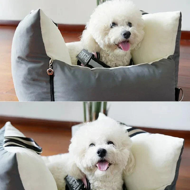 Pet in a comfortable gray and white car safety seat bed.