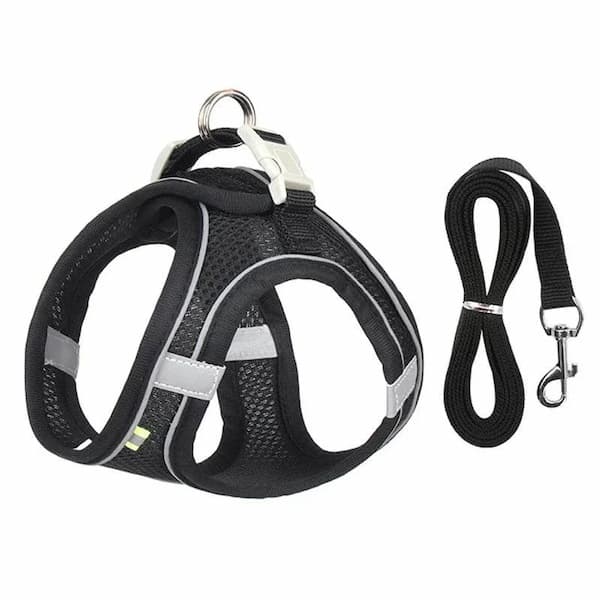 Black dog harness with reflective stripes and a matching leash on a white background