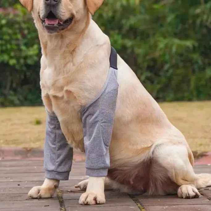 Grey dog elbow protector providing padded support and protection for sore elbows, calluses and pressure sores in large breed dogs.