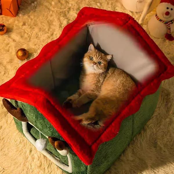 Cat inside a green and red toy box on a carpeted floor.