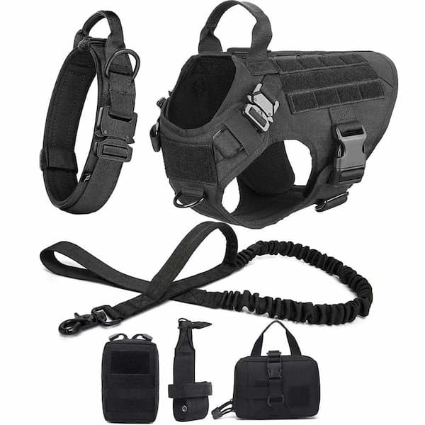 Black dog harness, leash, and accessories on a white background