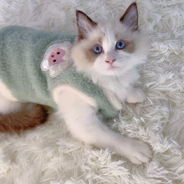 Soft warm pet sweater vest for cats and small dogs