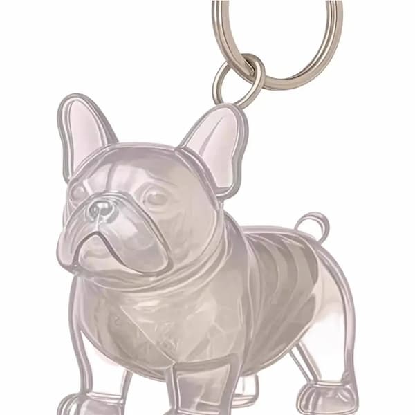 transparent dog keychain pet fur keepsake capsule cute pet memory keychain storage bottle