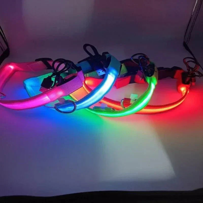 LED Nylon Dog and Cat Collar | Glow-in-the-Dark Safety Accessory for Night Walks