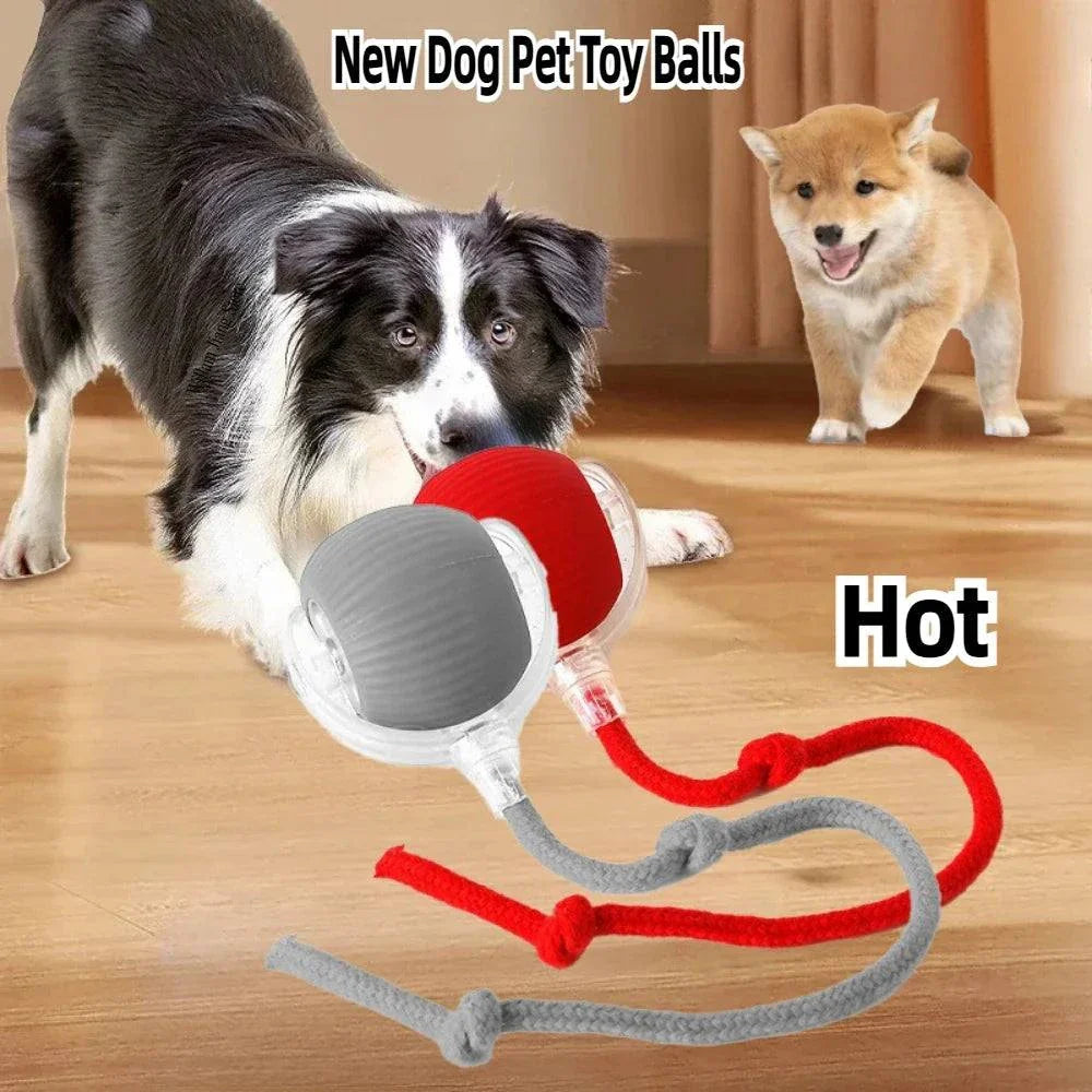 Rechargeable Smart Pet Interactive Rolling Ball Toy for Cats & Dogs