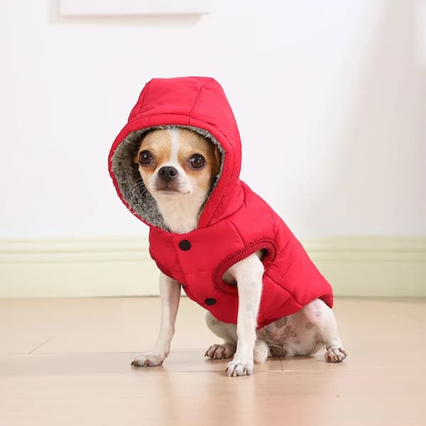 Small dog wearing a red hooded coat on a light wooden floor.