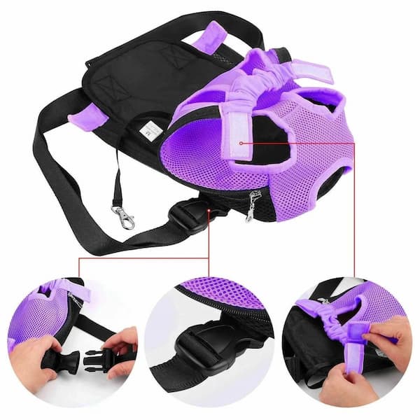 Purple pet harness with black straps and detailed views on a white background