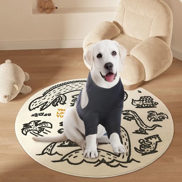 White dog sitting on a round rug with animal illustrations in a room with a beige armchair and stuffed toys.