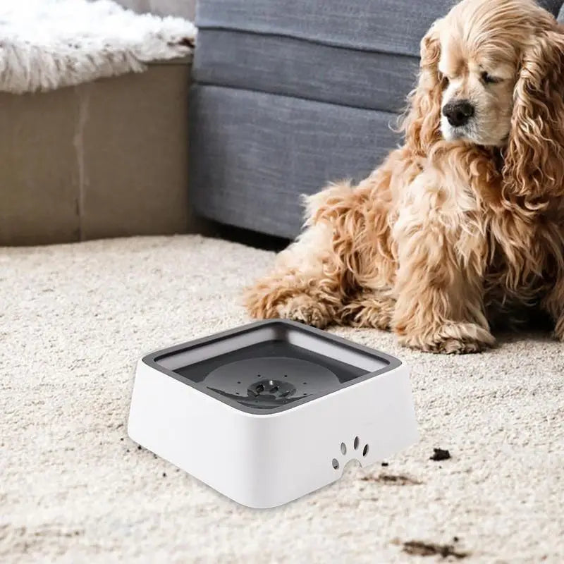 Pet Anti Spill Drinking Bowl