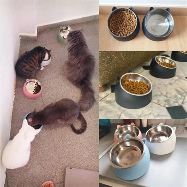 Collage of cats eating from various pet bowls on a carpeted floor.