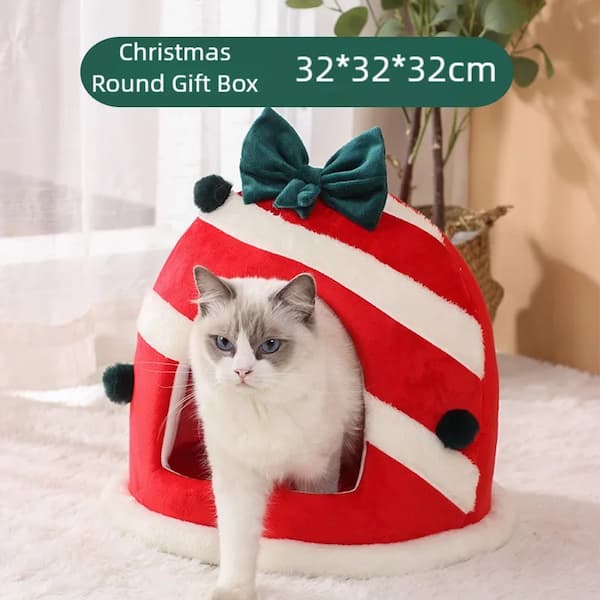 Cat inside a red Christmas-themed gift box with a green bow on a soft surface.