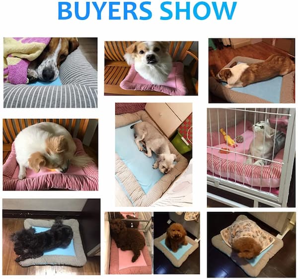 Collage of dogs on various pet cooling beds with text 'BUYERS SHOW' at the top.