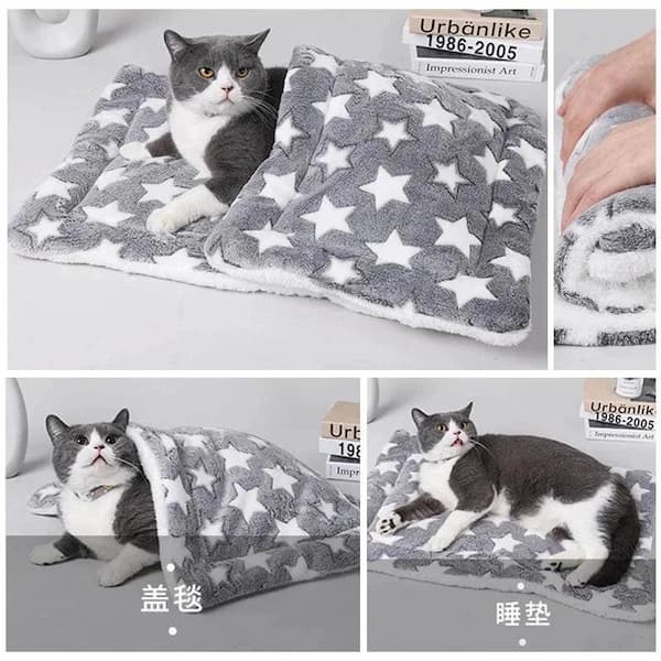 Collage of a cat lying on a star-patterned blanket with close-up shots of the blanket and a hand holding it.