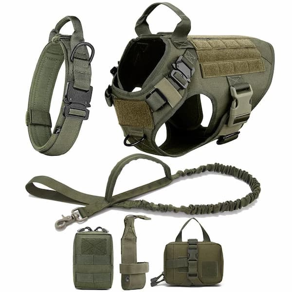Green tactical dog harness, leash, and accessories on a white background