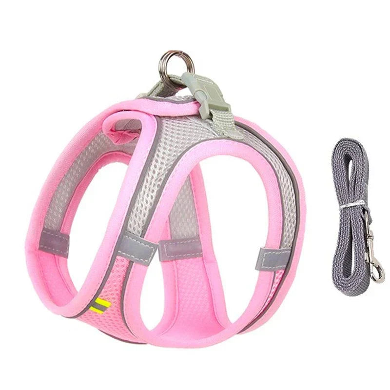 Small dog wearing an adjustable harness and leash set for outdoor walks. Stylish and secure pet vest harness for French Bulldogs, Chihuahuas, and Pugs.