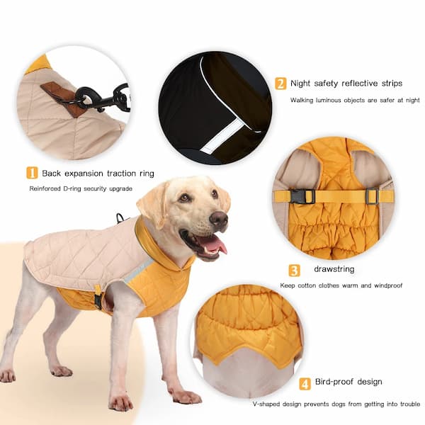 Dog wearing warm waterproof winter jacket showing D-ring, reflective strips, drawstring and windproof design
