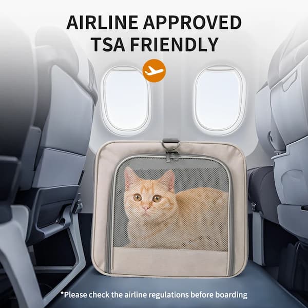 Cat in a airline-approved TSA-friendly pet carrier inside an airplane seat.