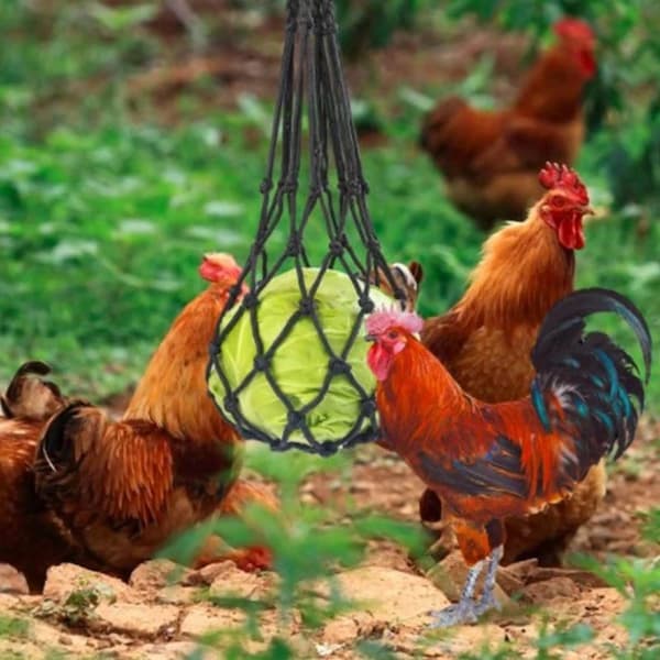 hanging chicken treat net bag with cabbage and vegetables poultry feeder for chickens ducks and geese enrichment toy