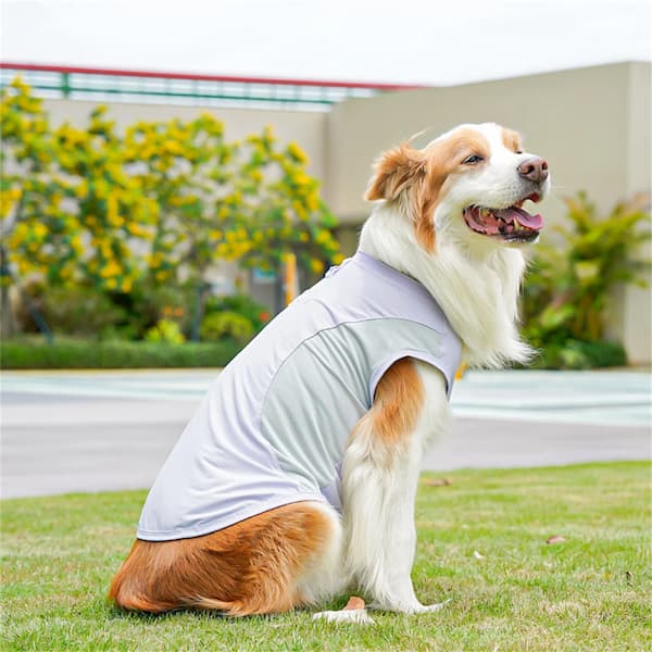 Dog wearing a light gray cooling vest sitting on grass with a garden background