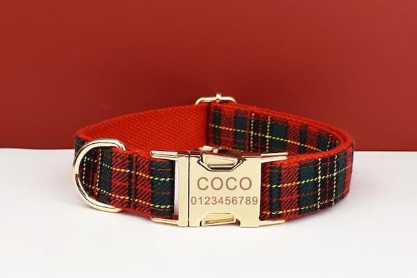 Red and black plaid dog collar with gold buckle and engraved nameplate on a white surface.