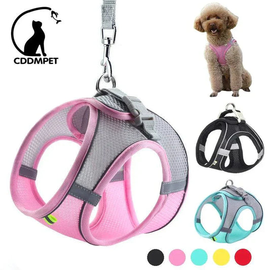 Adjustable dog harness and leash set in multiple colors for small dogs and cats, ideal for outdoor walks.