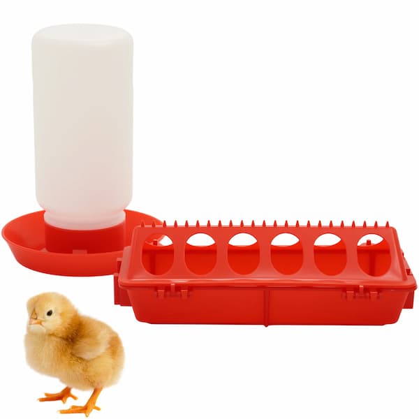 automatic chick feeder and water dispenser for chickens and quail reducing mess and keeping food and water clean