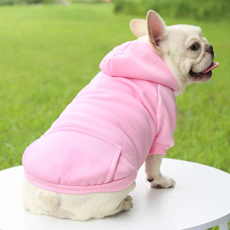 Dog wearing a pink hoodie standing on a white surface with a green grass background