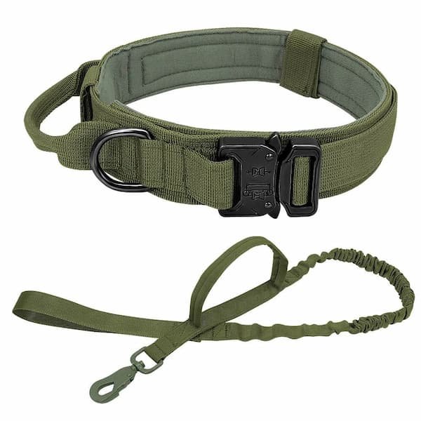 Green tactical dog collar with black buckle and matching leash on a white background