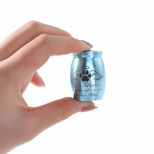 Small blue urn with paw print design held by a hand against a white background