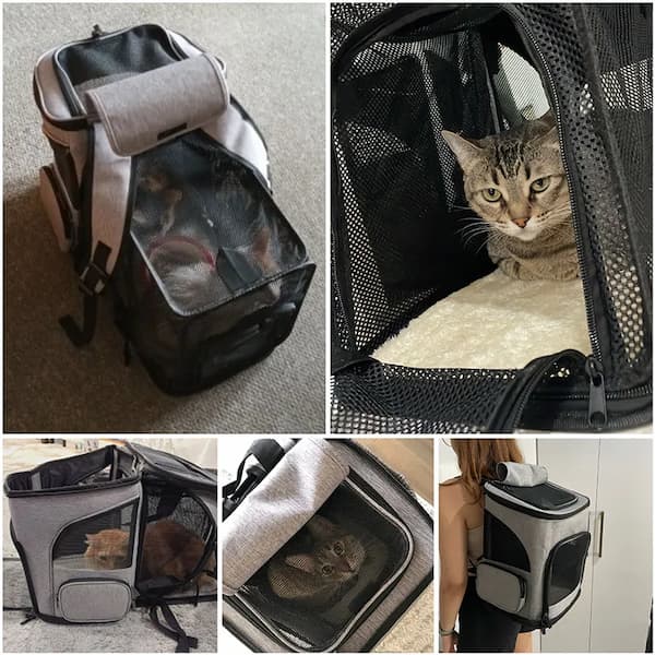 Collage of a pet carrier with a cat inside, showing different angles and uses.