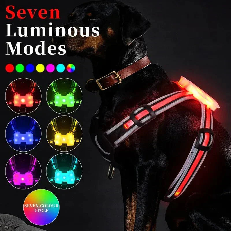 LED Dog Harness Pet Rechargeable Adjustable Flashing Waterproof Collar