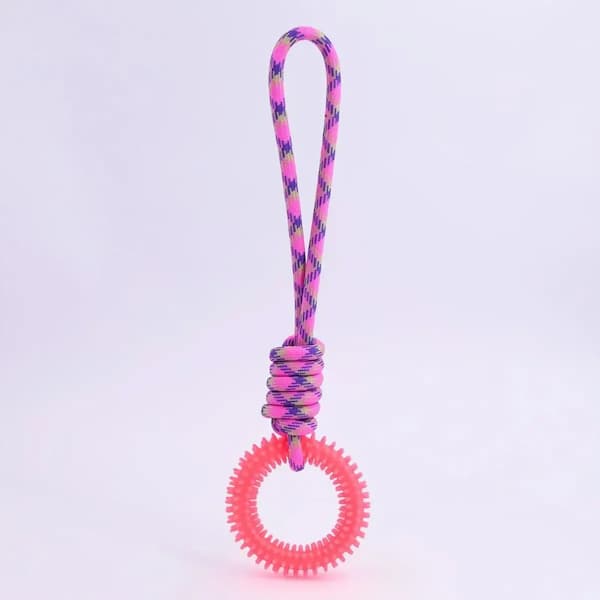 Pink and purple dog toy with a handle on a light purple background