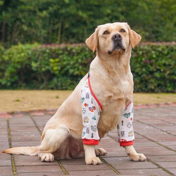 Red patterned dog elbow protector offering comfortable elbow support, helping protect sensitive skin and reduce friction during recovery.