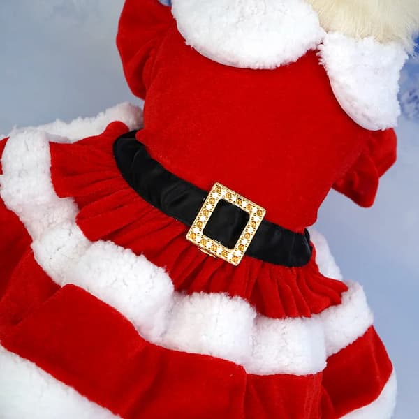 Red and white festive dog sweater with a black belt and gold buckle on a light gray background