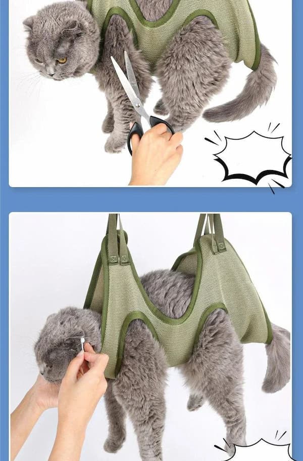 Cat being held in a green harness for grooming with scissors.