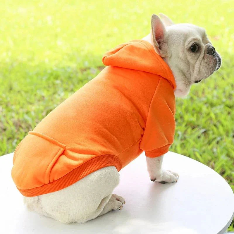 Small dog wearing an orange hooded sweater sitting outdoors on grass.