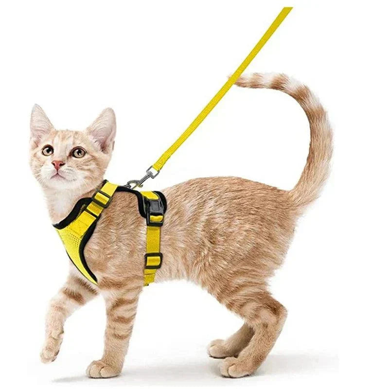 Stylish and practical cat harness for hiking or training