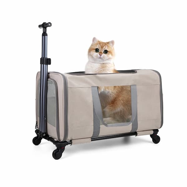 Pet carrier with a cat inside on a white background