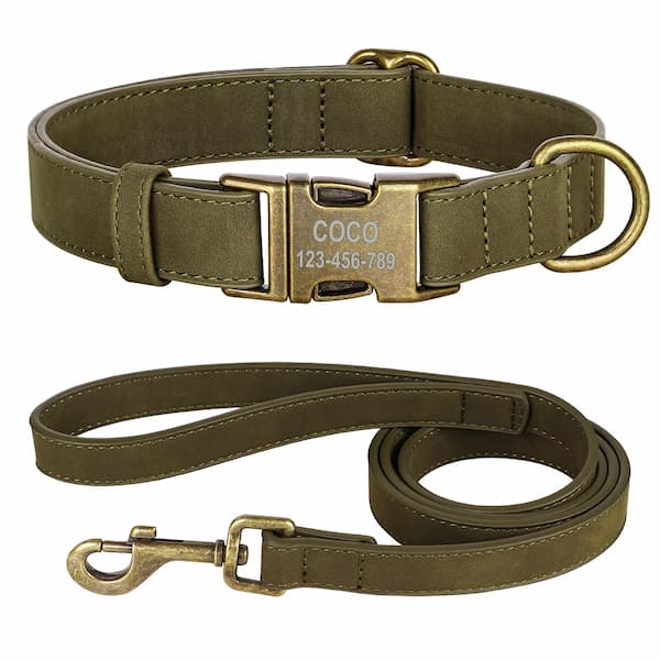 Engraved ID buckle dog collar with matching leash – Jo’s Pet Deals