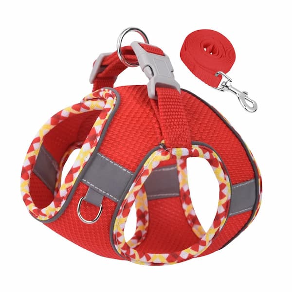 Red dog harness and leash set with colorful patterns on a white background