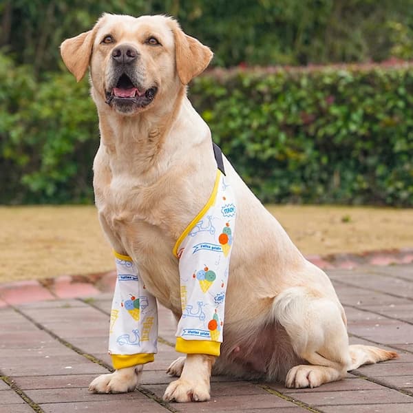 Yellow patterned dog elbow protector helping protect sore elbows, reduce pressure on calluses and support active or senior dogs.