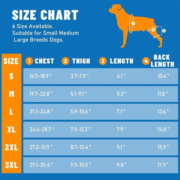 Dog size chart with measurements for small, medium, and large breeds on a blue background.