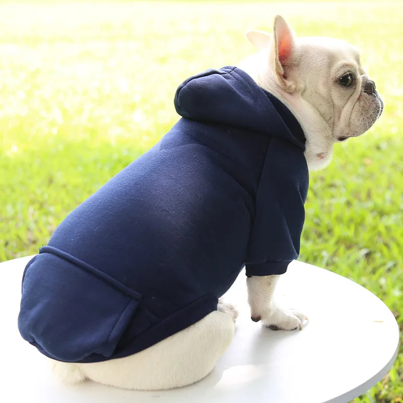 Dog wearing a navy blue hoodie with a blurred green background