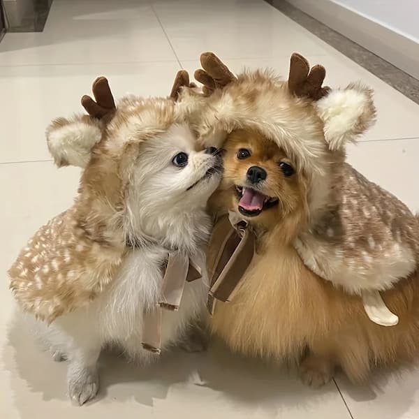 Two dogs wearing reindeer costumes on a tiled floor.