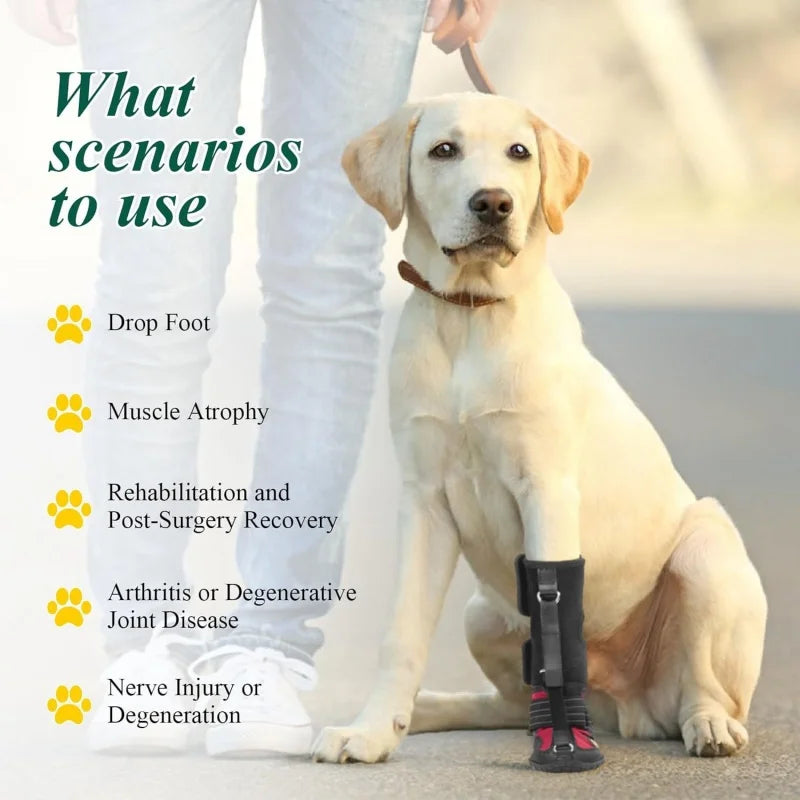 Dog wearing a protective boot with text on scenarios to use it