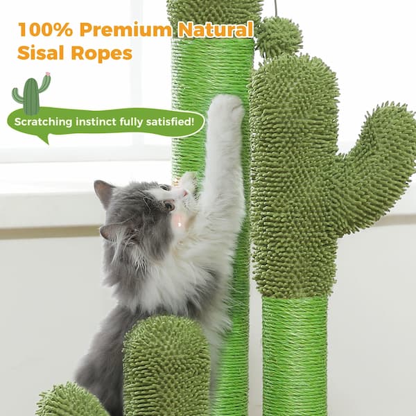 kitten playing on cactus cat scratcher indoor pet furniture
