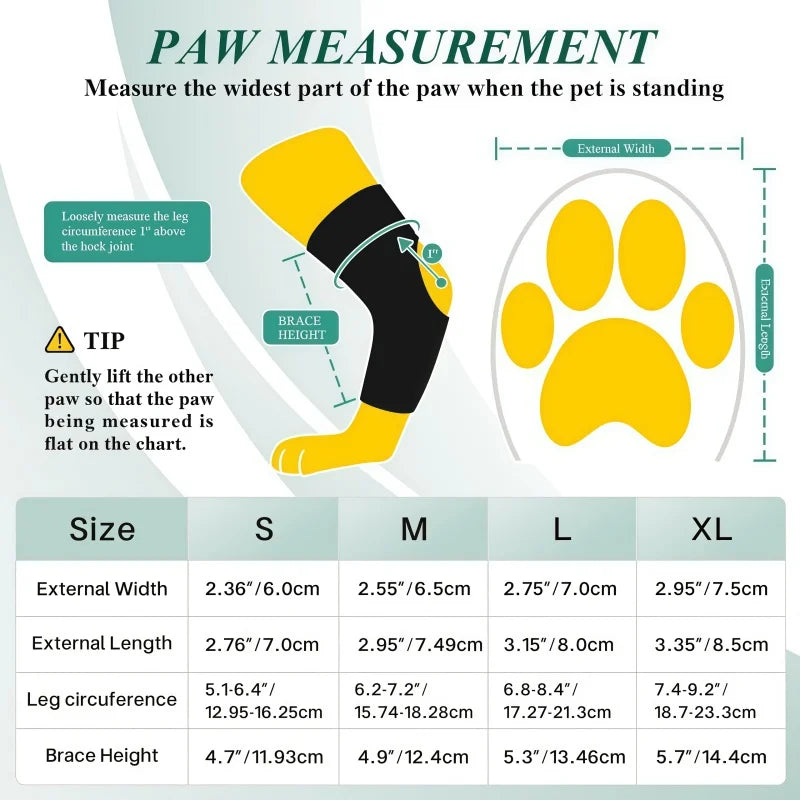 Paw measurement chart for pet braces with illustrations and text instructions.
