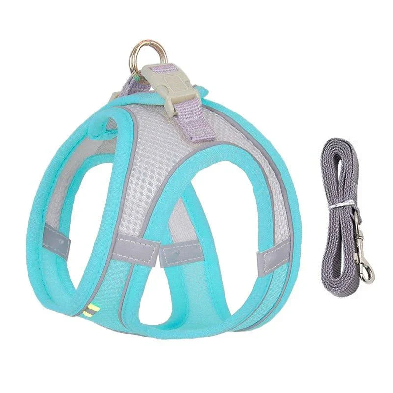 Small dog wearing an adjustable harness and leash set for outdoor walks. Stylish and secure pet vest harness for French Bulldogs, Chihuahuas, and Pugs.