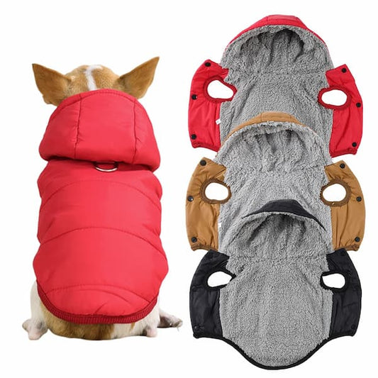 Dog wearing a red puffer jacket with a white background