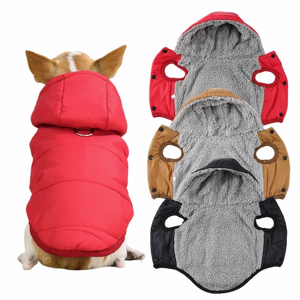 Dog wearing a red puffer jacket with a white background